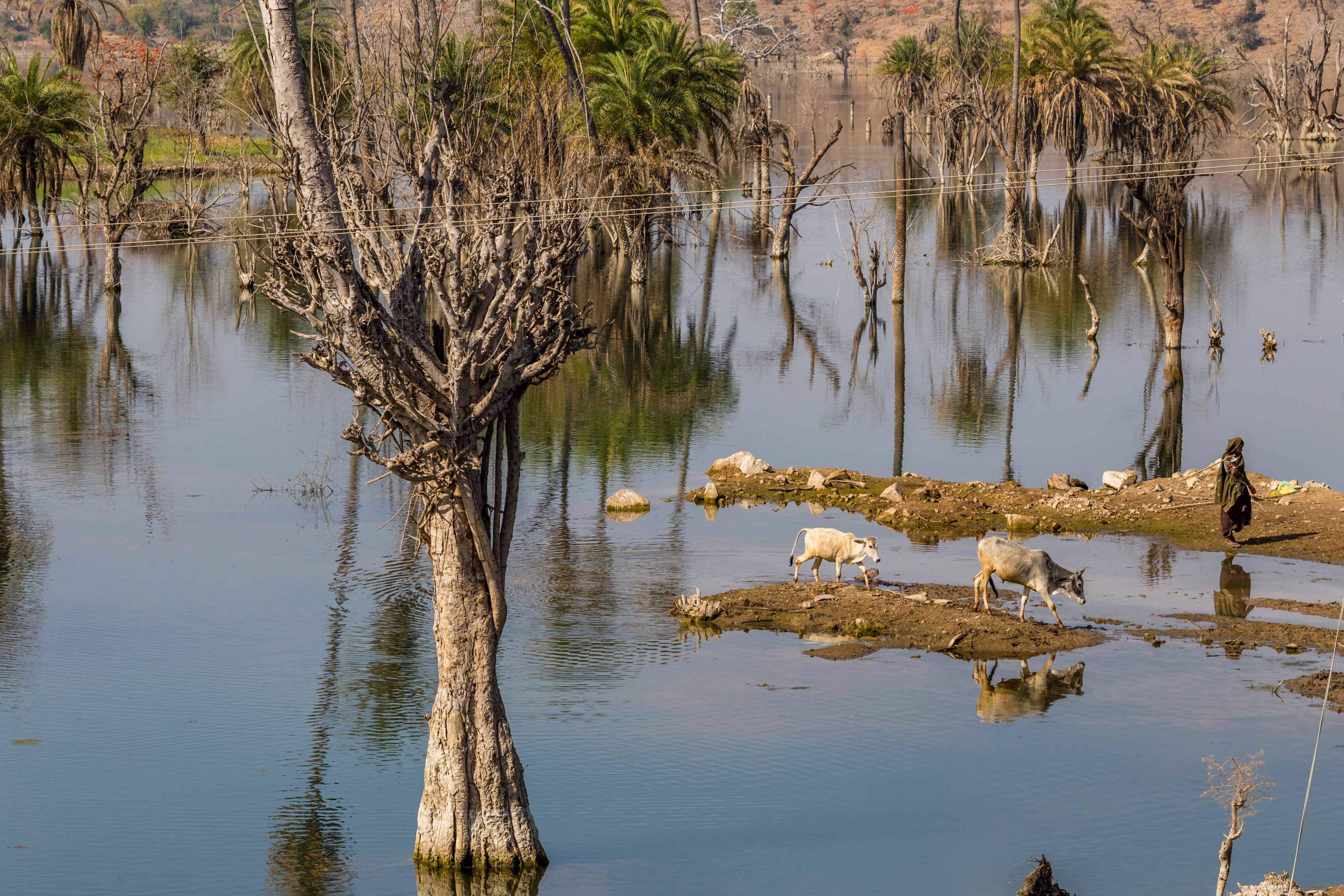 The need for Green Entrepreneurship in relation with its Impact on Climate Change