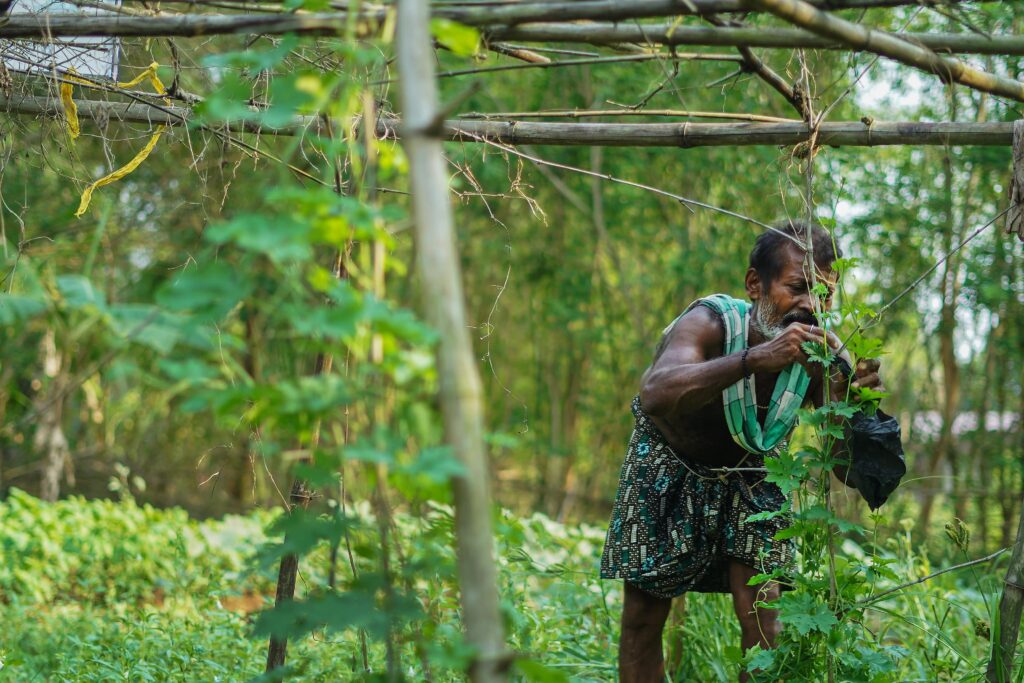 livelihood_img-min
