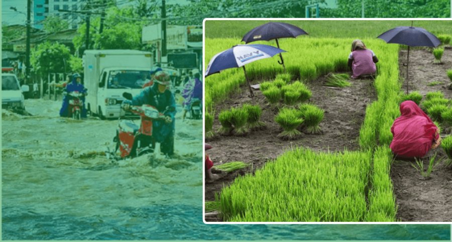 climate_change_and_sustainability_minibanner