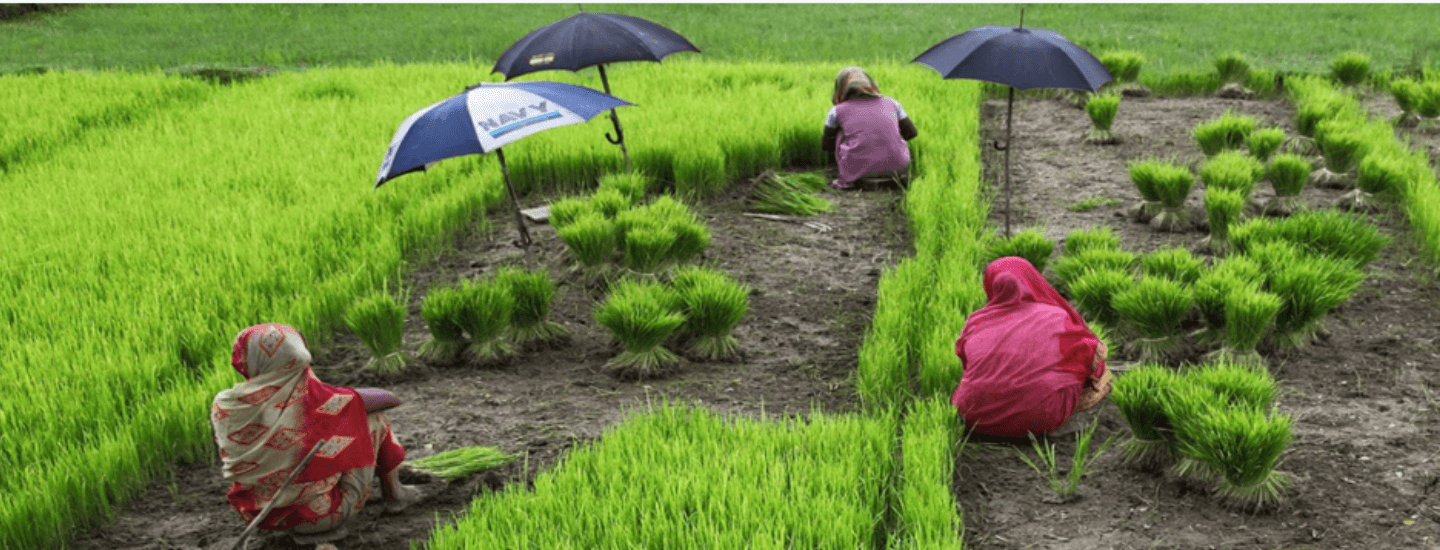 climate_change_and_sustainability_inner_banner